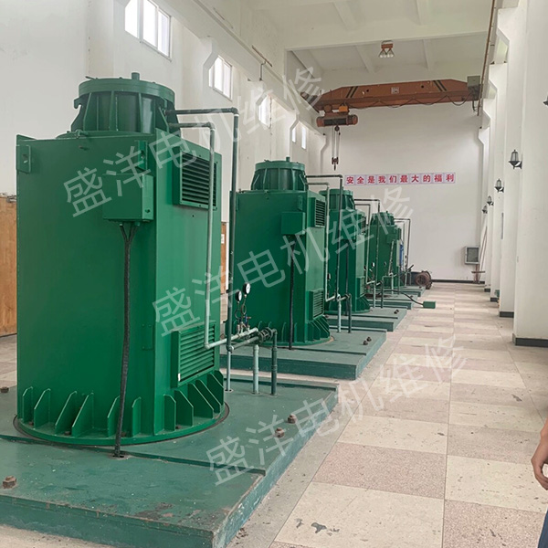 连云港专业维修电机